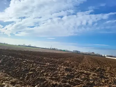 Teren extravilan arabil vanzare-cumparare Moara Vlăsiei Ilfov
